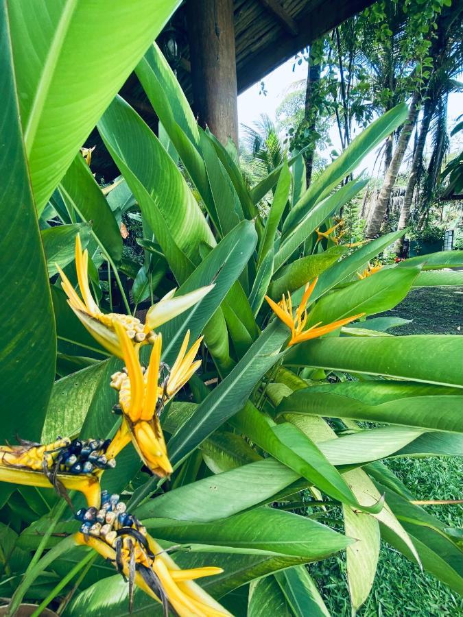 Nature Villa Unawatuna Galketiya Exteriér fotografie